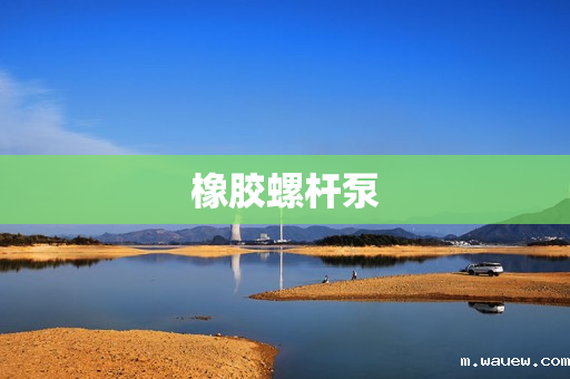 橡胶螺杆泵 橡胶螺杆泵