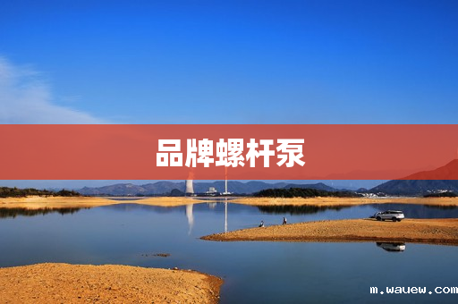 品牌螺杆泵 品牌螺杆泵