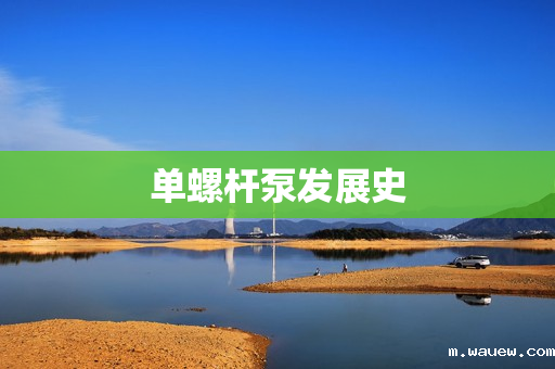 单螺杆泵发展史 单螺杆泵发展史