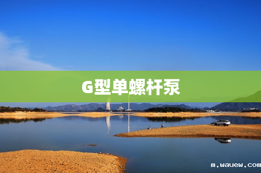 G型单螺杆泵 G型单螺杆泵