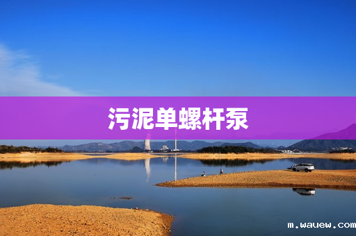 污泥单螺杆泵 污泥单螺杆泵