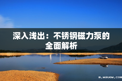 深入浅出:不锈钢磁力泵的全面解析 深入浅出:不锈钢磁力泵的全面解析