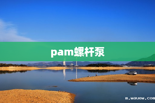 pam螺杆泵 pam螺杆泵