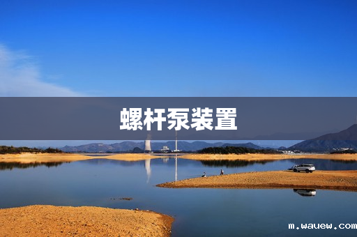 螺杆泵装置 螺杆泵装置