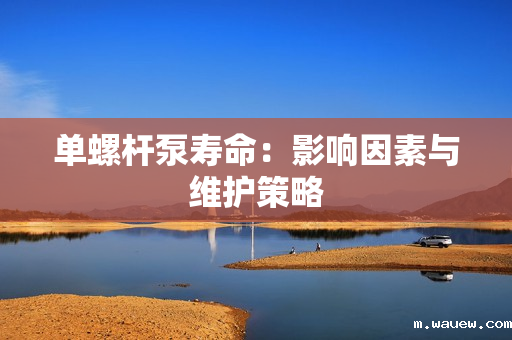 单螺杆泵寿命:影响因素与维护策略 单螺杆泵寿命:影响因素与维护策略