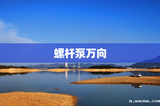 螺杆泵万向 螺杆泵万向