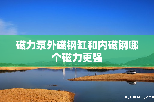 磁力泵外磁钢缸和内磁钢哪个磁力更强 磁力泵外磁钢缸和内磁钢哪个磁力更强