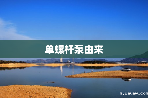 单螺杆泵由来 单螺杆泵由来