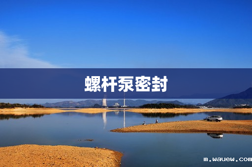 螺杆泵密封 螺杆泵密封