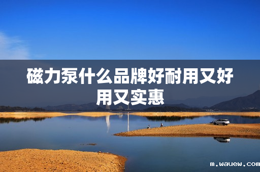 磁力泵什么品牌好耐用又好用又实惠 磁力泵什么品牌好耐用又好用又实惠