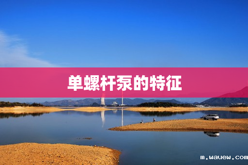 单螺杆泵的特征 单螺杆泵的特征