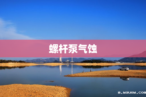 螺杆泵气蚀 螺杆泵气蚀