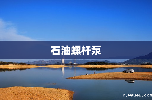 石油螺杆泵 石油螺杆泵