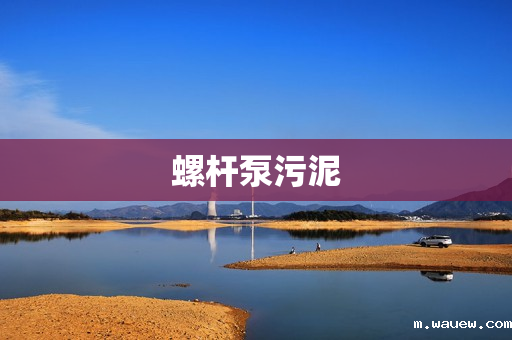 螺杆泵污泥 螺杆泵污泥