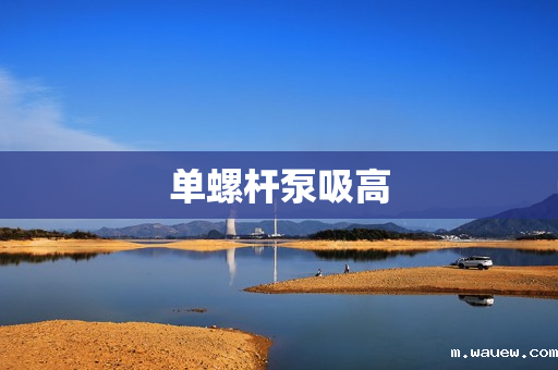 单螺杆泵吸高 单螺杆泵吸高