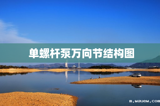 单螺杆泵万向节结构图 单螺杆泵万向节结构图