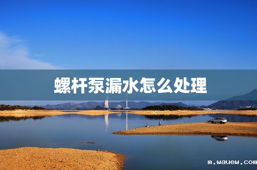 螺杆泵漏水怎么处理 螺杆泵漏水怎么处理