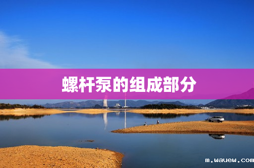 螺杆泵的组成部分 螺杆泵的组成部分