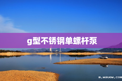 g型不锈钢单螺杆泵 g型不锈钢单螺杆泵