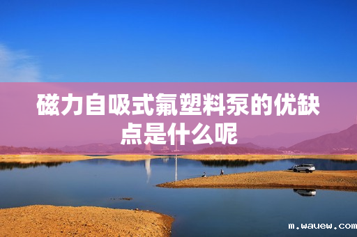 磁力自吸式氟塑料泵的优缺点是什么呢 磁力自吸式氟塑料泵的优缺点是什么呢