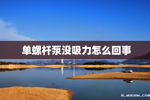 单螺杆泵没吸力怎么回事 单螺杆泵没吸力怎么回事