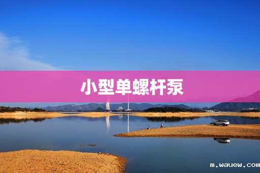 小型单螺杆泵 小型单螺杆泵