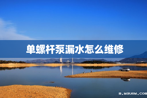 单螺杆泵漏水怎么维修 单螺杆泵漏水怎么维修