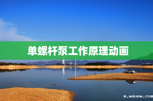 单螺杆泵工作原理动画 单螺杆泵工作原理动画