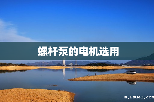 螺杆泵的电机选用 螺杆泵的电机选用