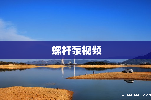 螺杆泵视频 螺杆泵视频