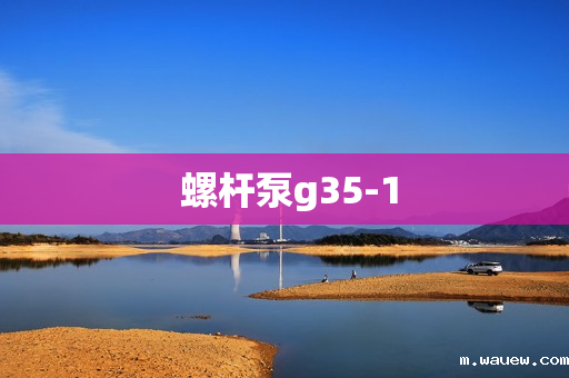 螺杆泵g35-1 螺杆泵g35-1