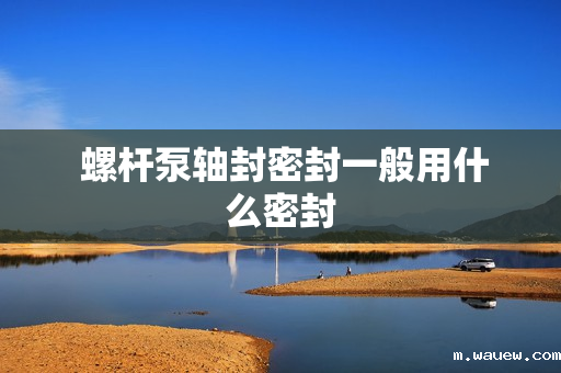 螺杆泵轴封密封一般用什么密封 螺杆泵轴封密封一般用什么密封