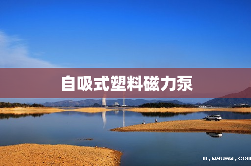 自吸式塑料磁力泵 自吸式塑料磁力泵