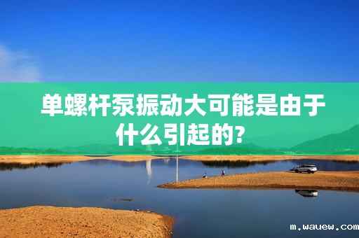 单螺杆泵振动大可能是由于什么引起的? 单螺杆泵振动大可能是由于什么引起的?