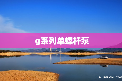 g系列单螺杆泵 g系列单螺杆泵