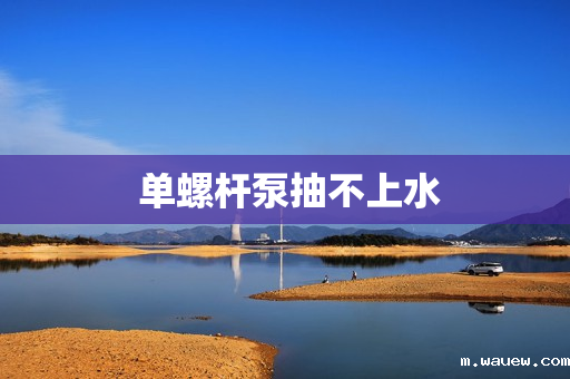 单螺杆泵抽不上水 单螺杆泵抽不上水