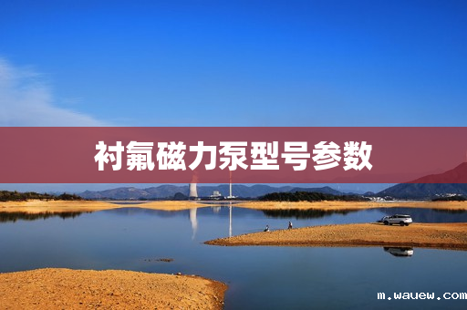 衬氟磁力泵型号参数 衬氟磁力泵型号参数