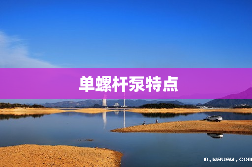 单螺杆泵特点 单螺杆泵特点