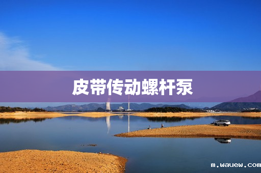 皮带传动螺杆泵 皮带传动螺杆泵