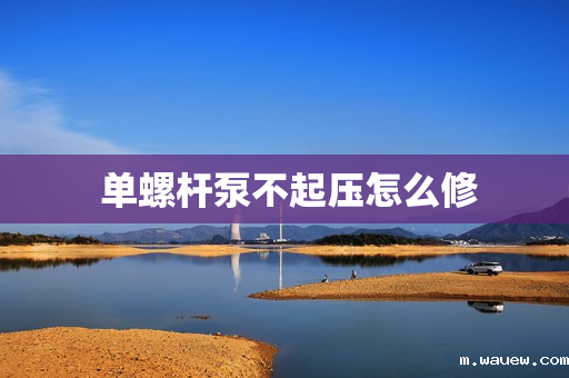 单螺杆泵不起压怎么修 单螺杆泵不起压怎么修