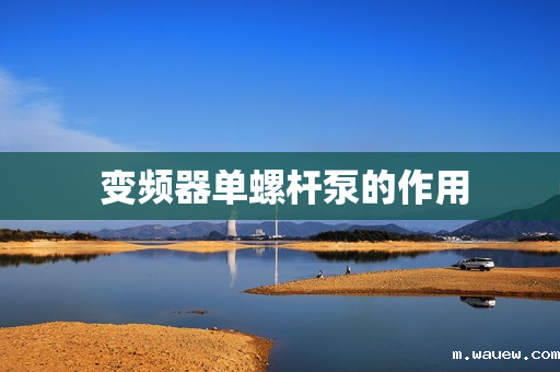 变频器单螺杆泵的作用 变频器单螺杆泵的作用