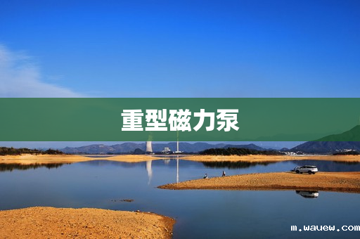 重型磁力泵 重型磁力泵