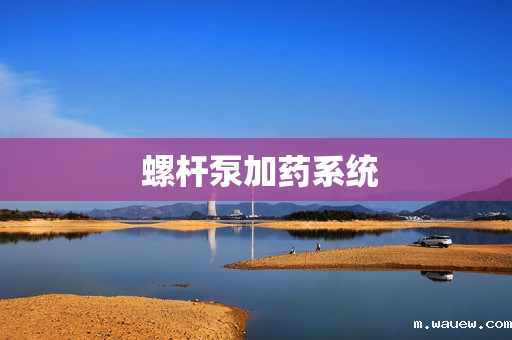 螺杆泵加药系统 螺杆泵加药系统