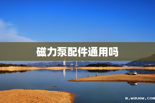 磁力泵配件通用吗 磁力泵配件通用吗