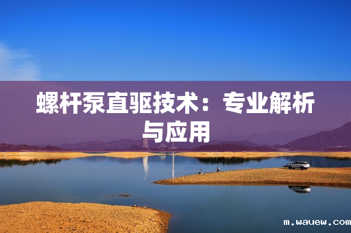 螺杆泵直驱技术:专业解析与应用 螺杆泵直驱技术:专业解析与应用