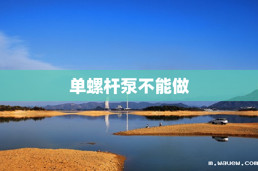 单螺杆泵不能做 单螺杆泵不能做