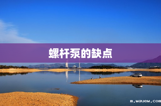 螺杆泵的缺点 螺杆泵的缺点