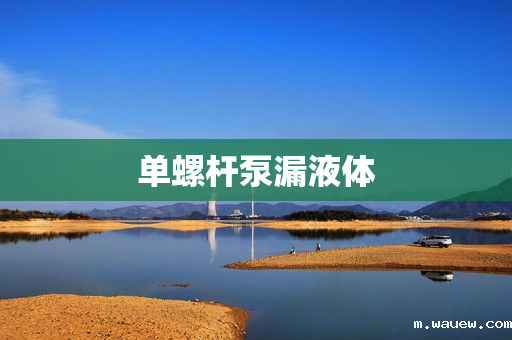 单螺杆泵漏液体 单螺杆泵漏液体