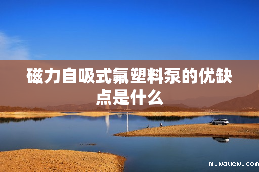 磁力自吸式氟塑料泵的优缺点是什么 磁力自吸式氟塑料泵的优缺点是什么