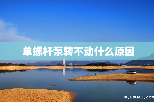 单螺杆泵转不动什么原因 单螺杆泵转不动什么原因